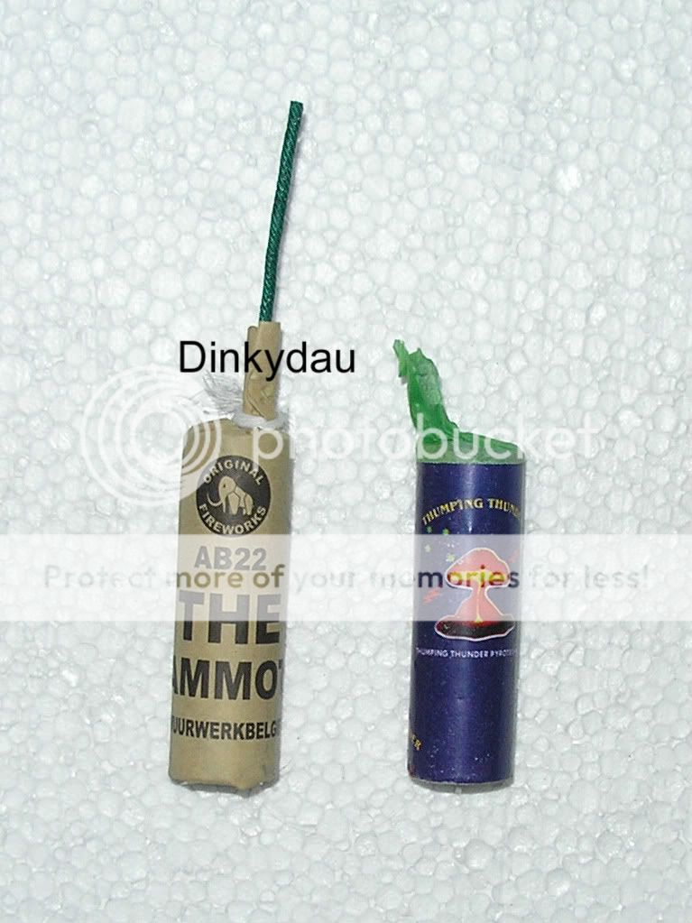 P9290037_2.jpg