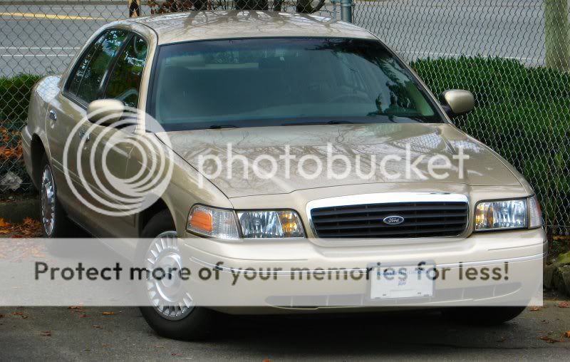 Painting Grille Caring for Your Car