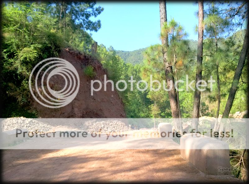  photo IMG_20150502_084837_AO_HDR_zpsthubpajx.jpg