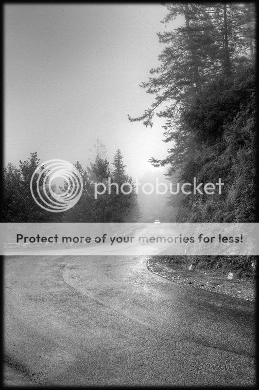 photo IMG_7222H_zpsf62cab46.jpg