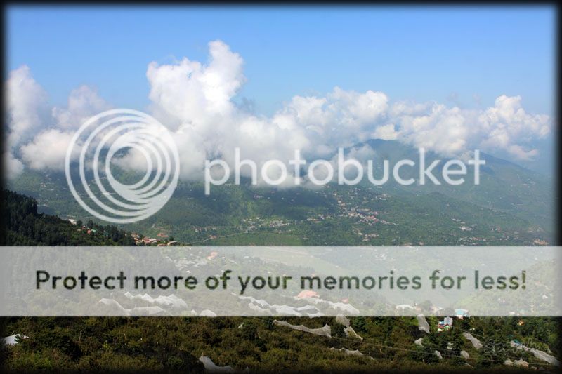 photo IMG_7329H_zps1312556c.jpg