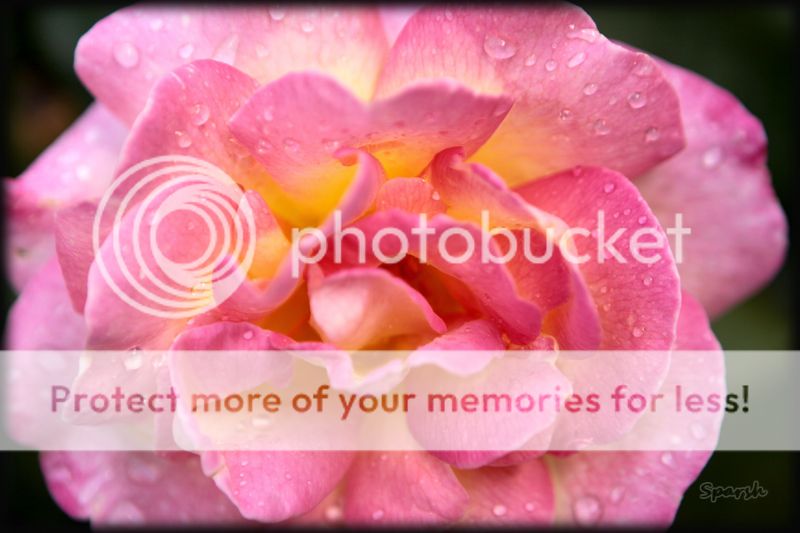 photo IMG_7360_zpsa6cfa391.jpg