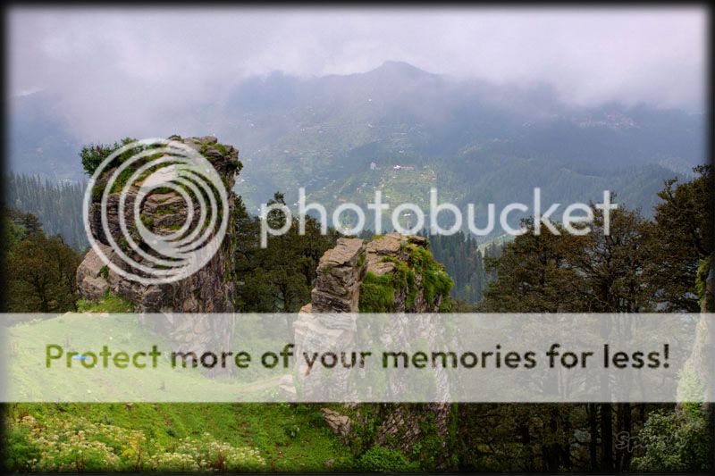  photo IMG_7384H_zps00a4c48a.jpg