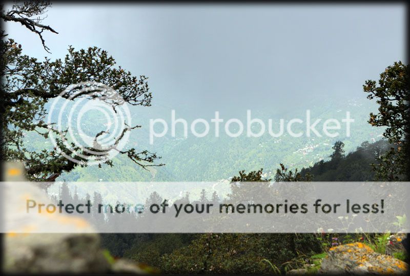 photo IMG_7435H_zps5191efe5.jpg