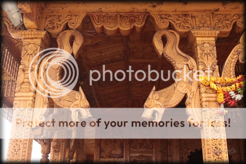  photo IMG_7441_zpscf5488d4.jpg