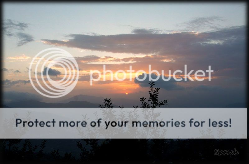 photo IMG_7482H_zps0d9a761d.jpg