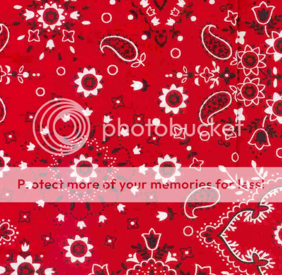 Blood Flag Photo by kapobigl Photobucket